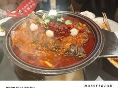 -辣尚瘾·烤鱼·新川菜(交大直营店)