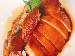 豉油鸡-南山鲜虾面·活鲜小馆·海味大连菜(南山总店)