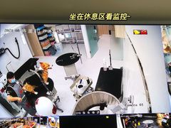 -鼎级派宠物(中南店)
