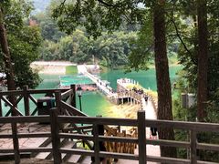-广州市流溪河国家森林公园