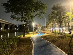 -长洲岛