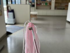 -凯瑞希宠物医院·狂犬免疫·微创·皮肤科