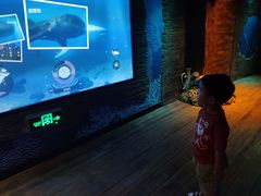 -沈阳海洋探索中心