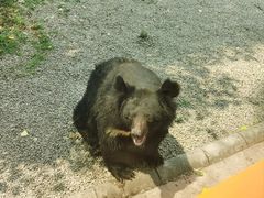 -北京野生动物园