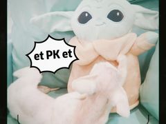 -十年猫舍·猫咪专门店(普陀店)