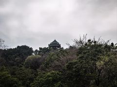 -王借岗森林公园