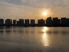 -五缘湾湿地公园