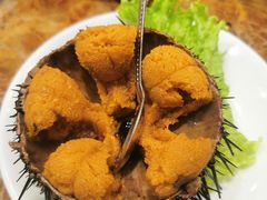 生吃海胆-海味当家·蒸锅海鲜(中山广场创始店)