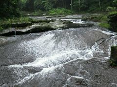 android_upload_pic-黄荆老林