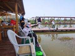 -同銮特种养殖场·龙虾垂钓