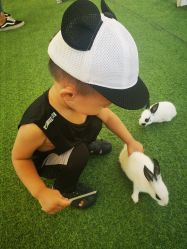 -萌宠亲子动物乐园(槐房万达店)