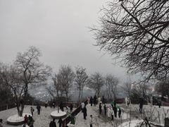 -合肥野生动物园