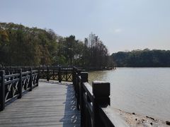 -海珠湖公园