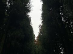 -山王坪喀斯特国家生态公园