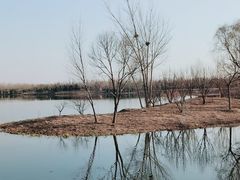 -东郊湿地公园