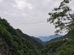 -西安祥峪森林公园