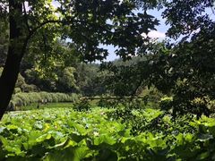 -韶山毛泽东同志故居