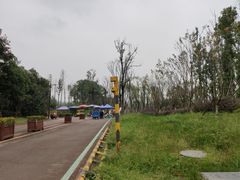 -白鹭湾湿地公园