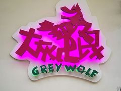 -大灰狼(中心书城店)