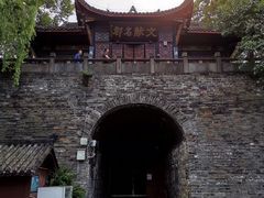 -桂湖森林公园