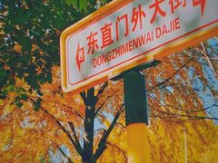 -三里屯东五街银杏大道
