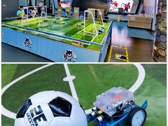 -中国宋庆龄青少年科技文化交流中心