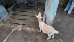 -Zoolung Zoolung动物主题公园(海信广场店)