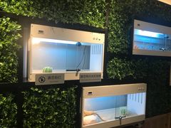 景观位-打趸BTC·Breaktime cafe(北京路店)