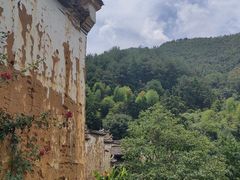 -杨家堂村