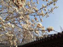 -郑和公园