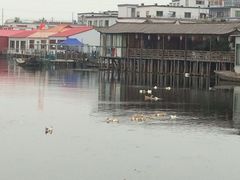-君豪蟹都·湖景·农家乐(蟹舫苑店)