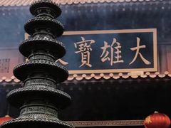 -深圳仙湖植物园