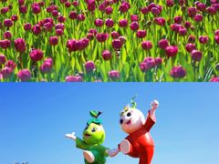 -东南花都花博园