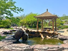 -大连蚂蚁岛度假区