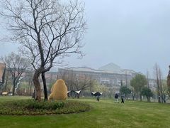 -长兴太湖图影湿地文化园