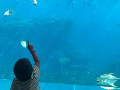-瑞德姆美人鱼海底演艺主题餐厅(亚龙湾店)