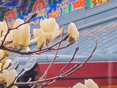 -护国法轮寺