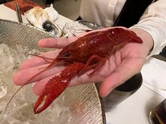 -白仁仔· 活烤海鲜 宵夜(豫园店)