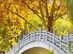 -西安市长乐公园