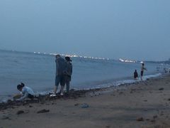 -仙人岛