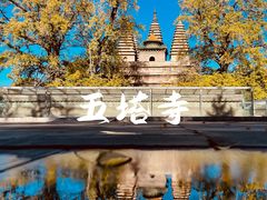 -北京石刻艺术博物馆(五塔寺)