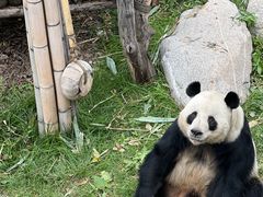 -青藏高原野生动物园