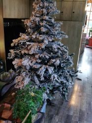 -青木造型HAIR·あおき髪を刈る潮人店