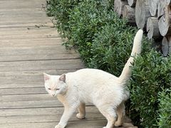 -田德能咖啡博物馆