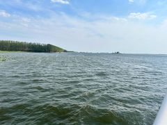 -微山湖红荷湿地景区