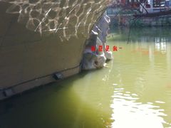 景点-龙潭水乡