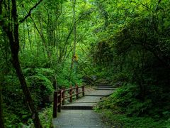 -西岭雪山大飞水景区