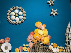 -青岛贝壳博物馆