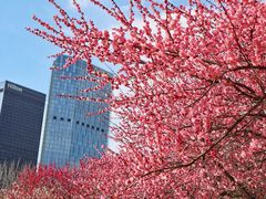 -白塘生态植物园