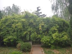 -中国政法大学(昌平校区)
